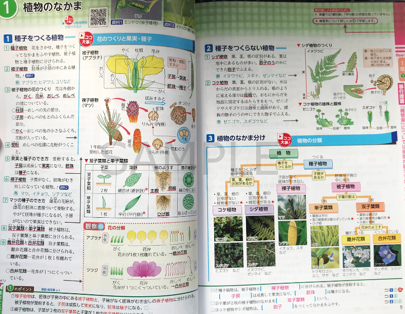 新研究 理科 ササキ教材