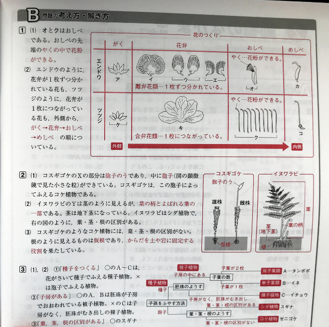 新研究 理科 ササキ教材