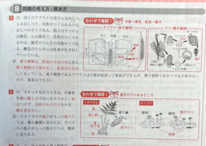 新研究_理科_2024_1