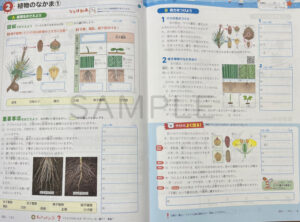 サマースクール_理科_2025_2