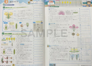 夏の補充学習_理科_2025_2
