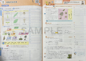 ホンキの冬_理科_2025_2