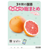 ぎゅぎゅっと総まとめ_国語_2026_1