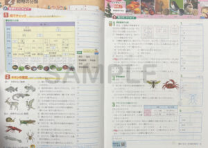 冬の補充学習_理科_2025_2