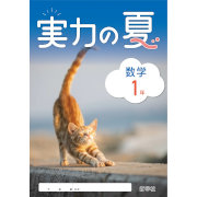 実力の夏_数学_2025_1